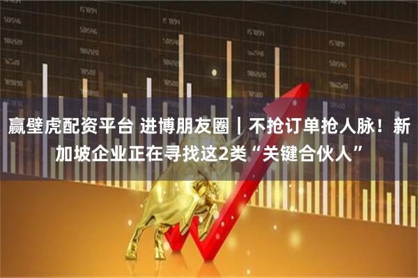 赢壁虎配资平台 进博朋友圈|不抢订单抢人脉!新加坡企业正在寻找这2类“关键合伙人”