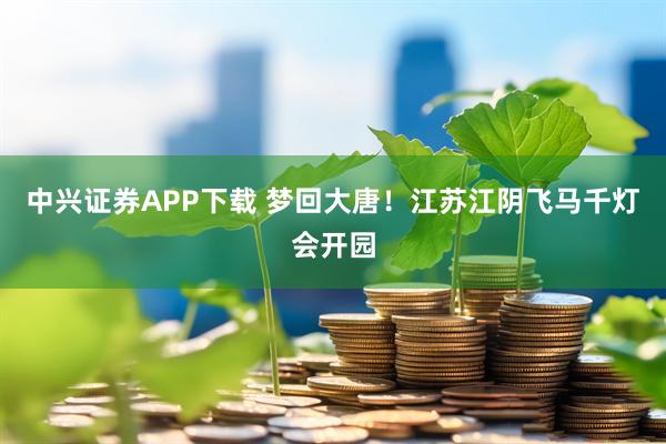 中兴证券APP下载 梦回大唐！江苏江阴飞马千灯会开园