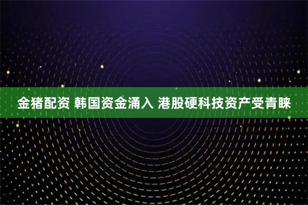 金猪配资 韩国资金涌入 港股硬科技资产受青睐
